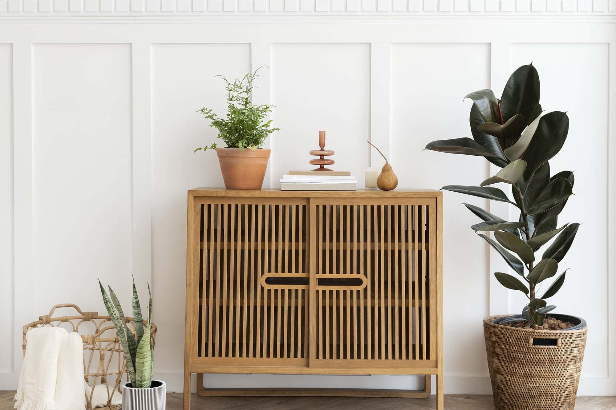 scandinavian-vintage-wood-cabinet-with-houseplants-2022-12-16-00-46-06-utc.jpg